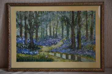 The bluebells in the woods