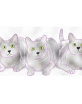 3 cats 3 cats