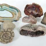 Sammlung Mineralien & Versteinerungen 10-tlg. best. aus - photo 3