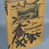 Der Schwarzwald in Wort und Bild, 4. Auflage 1903 - фото 1