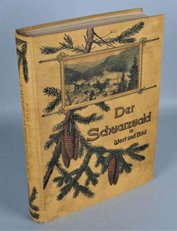 Der Schwarzwald in Wort und Bild, 4. Auflage 1903 - фото 1