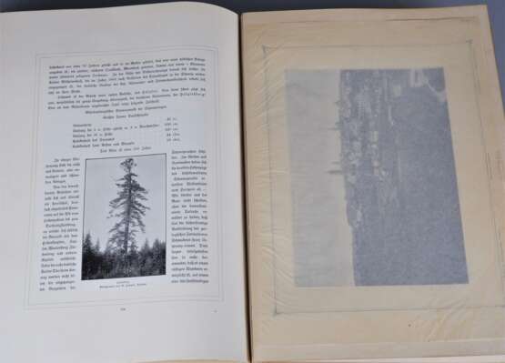 Der Schwarzwald in Wort und Bild, 4. Auflage 1903 - фото 4