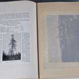 Der Schwarzwald in Wort und Bild, 4. Auflage 1903 - photo 4