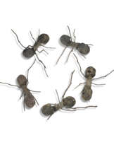 RAFAEL GÓMEZBARROS (B. 1972)