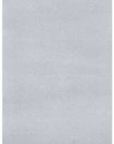 ROMAN OPAŁKA (1931-2011)