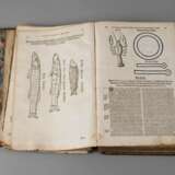 Codex Augusteus (Fortsetzung I) - Foto 1