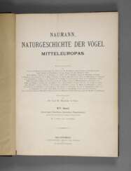 Naumann, Naturgeschichte