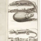 DIDEROT, Denis (1713-1784), Jean le Rond D'ALEMBERT (1717-1783) et d'autres - Foto 11