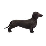 Standing rough-haired dachshund, 20th century. - фото 4