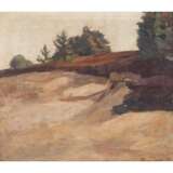 DEIKER, HANS (1876-?), "Firs on rocks", - Foto 1