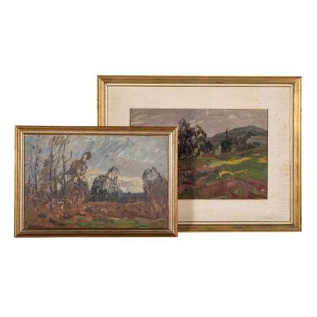 SCHICKHARDT, KARL (1866-1933), 2 small landscape paintings, - Foto 1