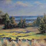 “Mazyrina valley” Canvas Oil paint Impressionist Landscape painting 2012 - photo 1