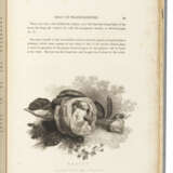 ORME, Edward (1775-1848) - фото 6