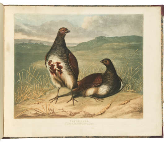 BARENGER, James (1780-1831), artist, James SILLETT (1764-1840), artist and Charles TURNER (1774-1857), artist and engraver - фото 2