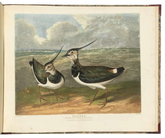 BARENGER, James (1780-1831), artist, James SILLETT (1764-1840), artist and Charles TURNER (1774-1857), artist and engraver - фото 3