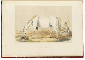W., C. (fl. 1837), artist
