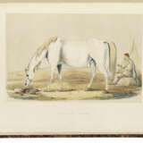 W., C. (fl. 1837), artist - фото 1