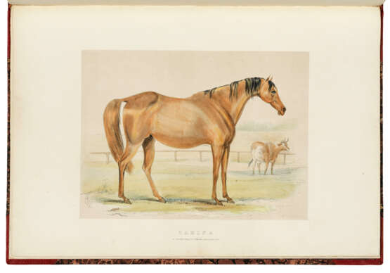 W., C. (fl. 1837), artist - фото 2
