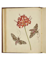 WILKES, Benjamin (fl.1740-1750)