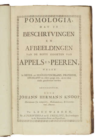 KNOOP, Johann Hermann (1700-1769) - Foto 4