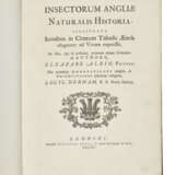 ALBIN, Eleazar (fl.1713-59) - photo 2