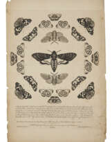 WILKES, Benjamin (fl. 1742)