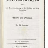 SCHWANN, Theodor (1810-1882) - Foto 2