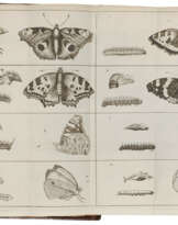 GOEDART, Johannes (1617-1668)