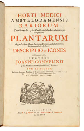 COMMELIN Jan (1629-1692) and Caspar COMMELIN (1667-1731) - Foto 4