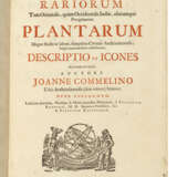 COMMELIN Jan (1629-1692) and Caspar COMMELIN (1667-1731) - фото 4