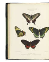 HEWITSON, William Chapman (1806-1878)
