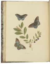 ABBOT, John (1751-1839) and Sir James Edward SMITH (1759-1828)