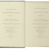 ABBOT, John (1751-1839) and Sir James Edward SMITH (1759-1828) - Foto 2