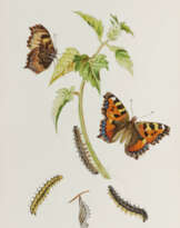 JOHNSON, Theophilus (1836-1919)