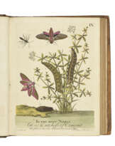 ALBIN, Eleazar (fl.1713-59)