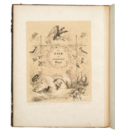 B&#196;EDEKER, Fr[iedrich] W. J. (1788-1865) - фото 1