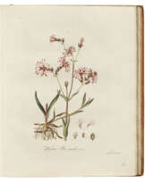 KOPS, Jan (1765-1849), Hermannus Christiaan van HALL (1801-1874), Friedrich Anton Wilhelm MIQUEL (1811-1871) and others.