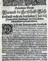 Gründlicher Bericht