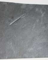 Fossilien Grube Katzenberg.