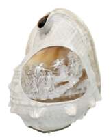 Große Meeresschnecke