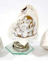 Drei Meeresschnecken