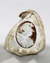 Drei Meeresschnecken