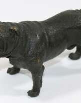 Französische Bulldogge.