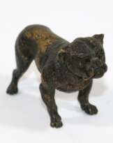 Französische Bulldogge