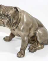 Französische Bulldogge