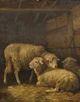 Backvis, Franz