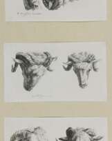 Dujardin, Karel