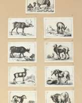 Kilian, Georg Christoph