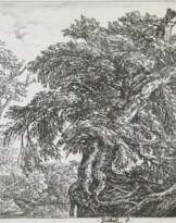 Ruisdael, Jacob Isaackszoon