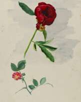 Zierhold, Elisabeth (Elsbeth Müller-Zierhold)